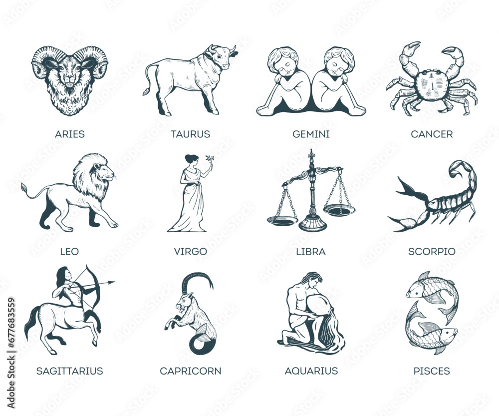 Zodiac signs vector illustration. Zodiac signs vector illustration.