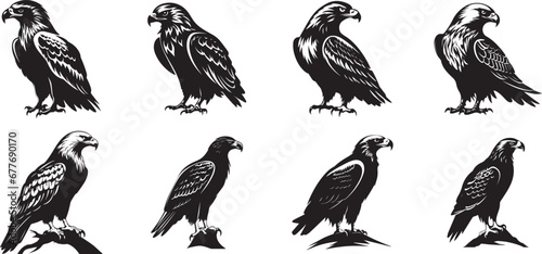 eagle vector illustration design, eagle sitting silhouettes, 8 eagles silhouettes set