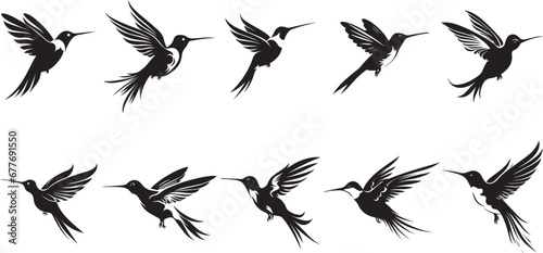 set of birds , Set of hummingbird silhouettes, black and white