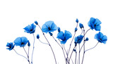 blue flowers isolated on transparent background cutout