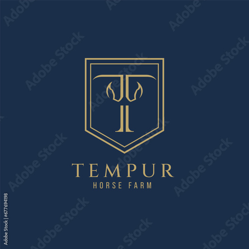 Elegant luxury letter T monogram horse logo, letter T horse logo, horse head logo
