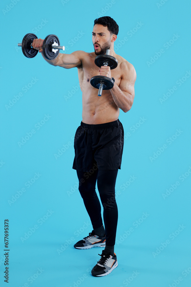 Dumbbells, fitness and man in studio for training, exercise or bodybuilding on blue background. Health, wellness and topless guy bodybuilder with bicep workout, muscle or flex, progress or resilience