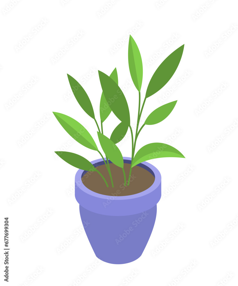 Indoor plant in flowerpot. Comfort and coziness in room. Succulent plant in ceramics vase. Sticker for social networks. Cartoon flat vector illustration isolated on white background Indoor plant in flowerpot. Comfort and coziness in room. Succulent plant in ceramics vase. Sticker for social networks. Cartoon flat vector illustration isolated on white background