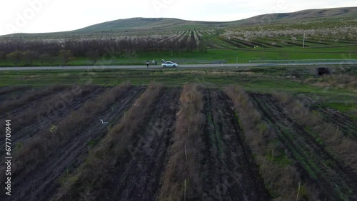 Agriculture Field Of The Almonds