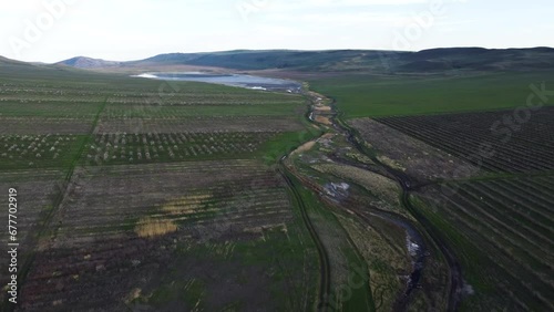 Agriculture Field Of The Almonds