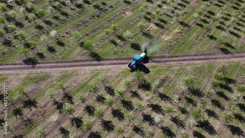 Agriculture Field Of The Almonds