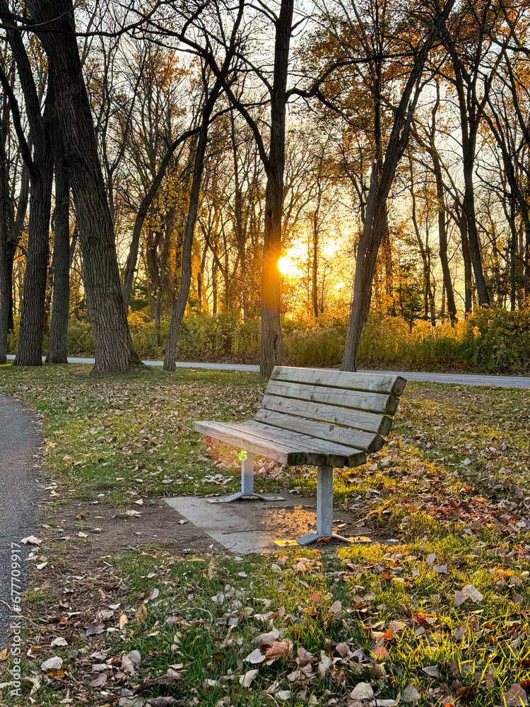 park bench at sunset during fall