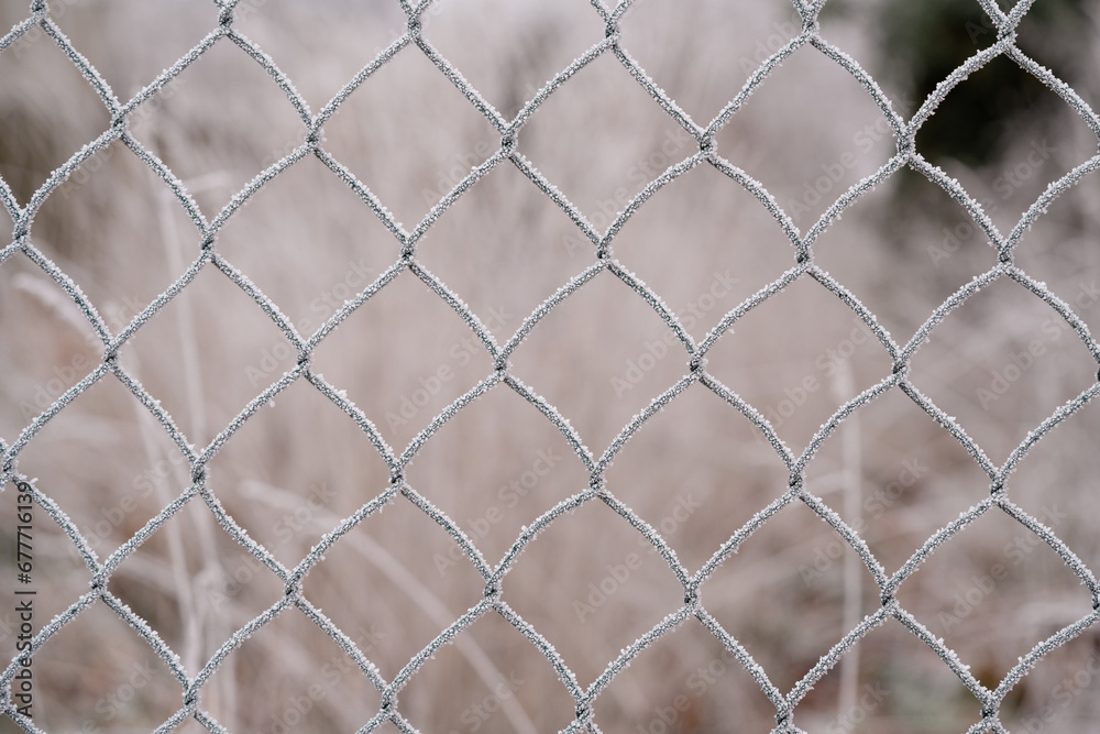 Fototapeta premium frostiger Zaun