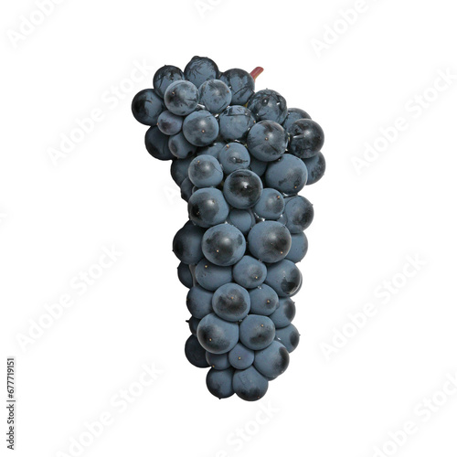 Fresh blue grapes bunch. Ripe bunch of blue grapes closeup with shining. blue grape isolated on a white background. Food. Bunch of blue Seedless Grape. Clipping path.