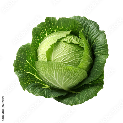 Fresh green cabbage isolated on transparent background