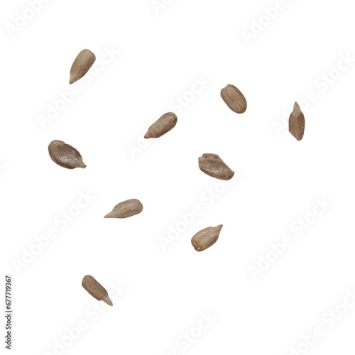 sunflower seeds isolated on transparent background. top view
