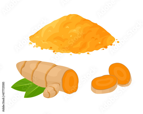 Dry turmeric powder heap, turmeric root whole and sliced isolated on white. Vector cartoon flat illustration spicy spice seasoning. 