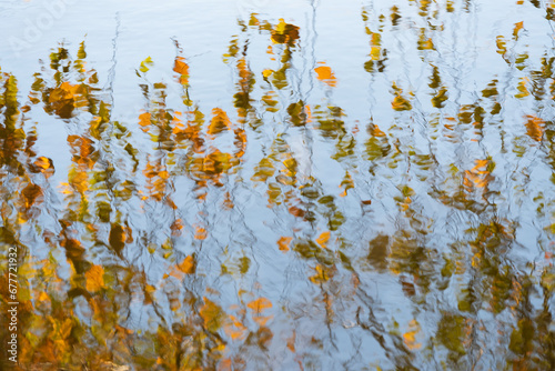 Fototapeta Naklejka Na Ścianę i Meble -  Jesienne liście brzozy odbijające się w wodzie 