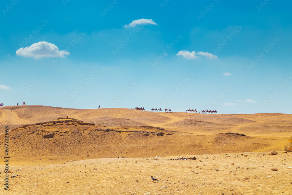 Camel caravan on the Giza plateau.