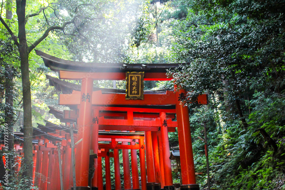 Fushimi Inari Shrine, Kyoto, Japan | Daytime Landscape View of Fushimi Inari Orange Torii Gates Amongst Green Trees with Light Shining Through | Summer | July, 2023 Fushimi Inari Shrine, Kyoto, Japan | Daytime Landscape View of Fushimi Inari Orange Torii Gates Amongst Green Trees with Light Shining Through | Summer | July, 2023