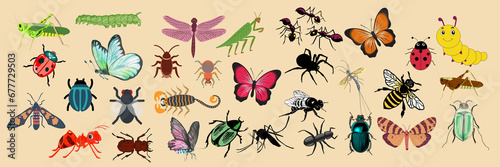 Set of various insect stickers