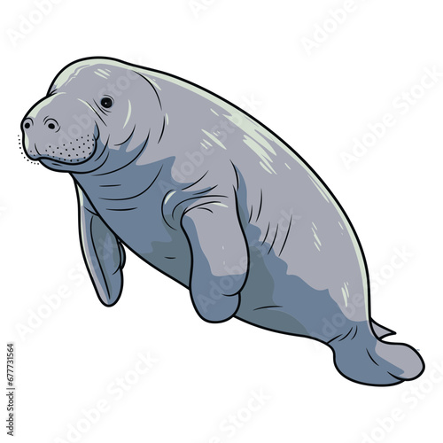 manatee isolated vectir illustration