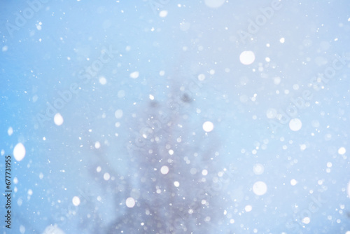 Blurred snow background. Winter landscape. Trees and plants covered with snow.