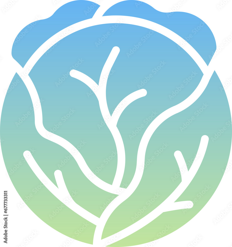 Obraz premium Cabbage Icon