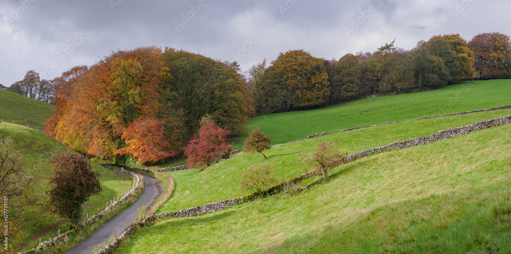 Colourful autumn trees in Derbyshire Peak District