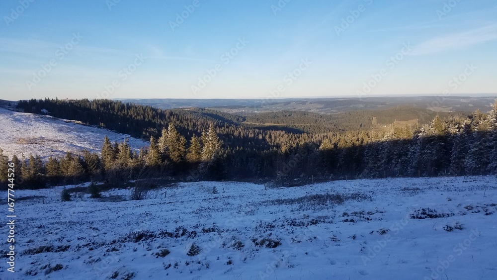 Landscape covered in snow with trees and mountains in the background Landscape covered in snow with trees and mountains in the background