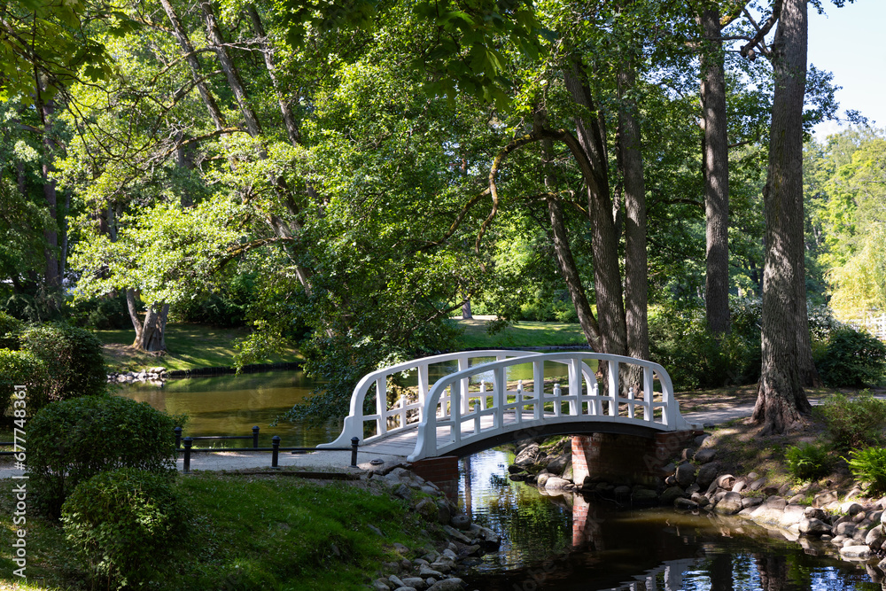 A little romantic bridge in a city park made of wood, painted in white. Park in natural light, on a sunny summer day. A little romantic bridge in a city park made of wood, painted in white. Park in natural light, on a sunny summer day.