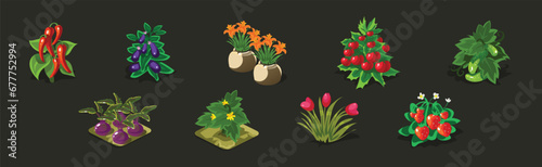 Game Planting and Garden Object and Element Vector Set