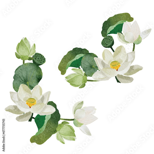 watercolor white lotus flower bouquet frame elements on white background isolated