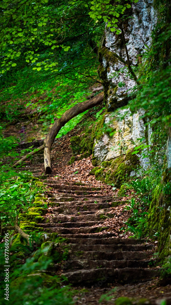 Fototapeta premium Road over the forest with stairs