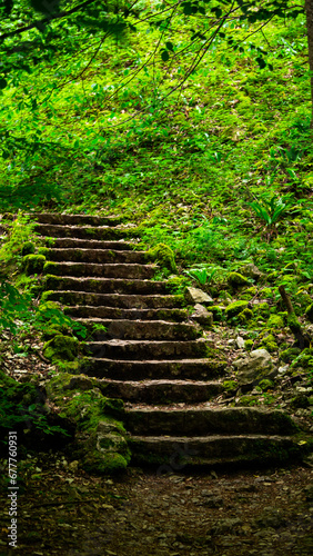 Road over the forest with stairs