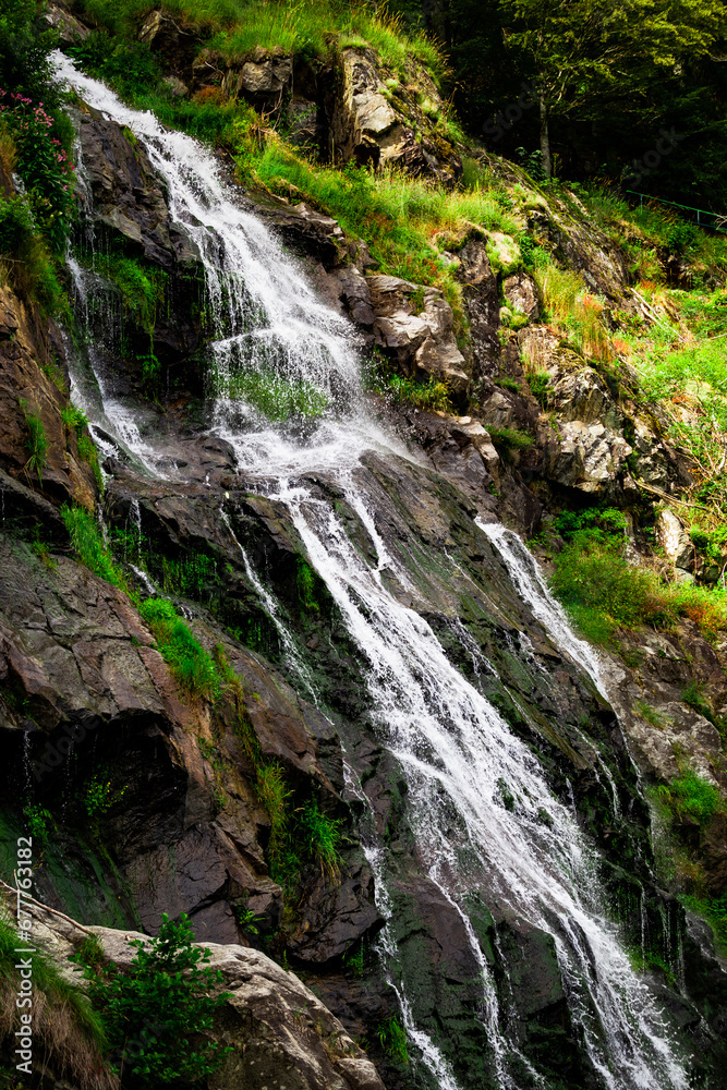 Fototapeta premium Waterfall in Schwarzwald 