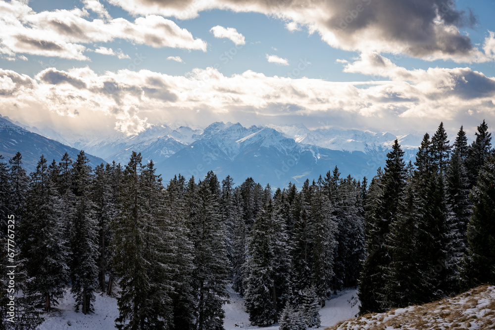 A snow covered forest with mountains in the background
