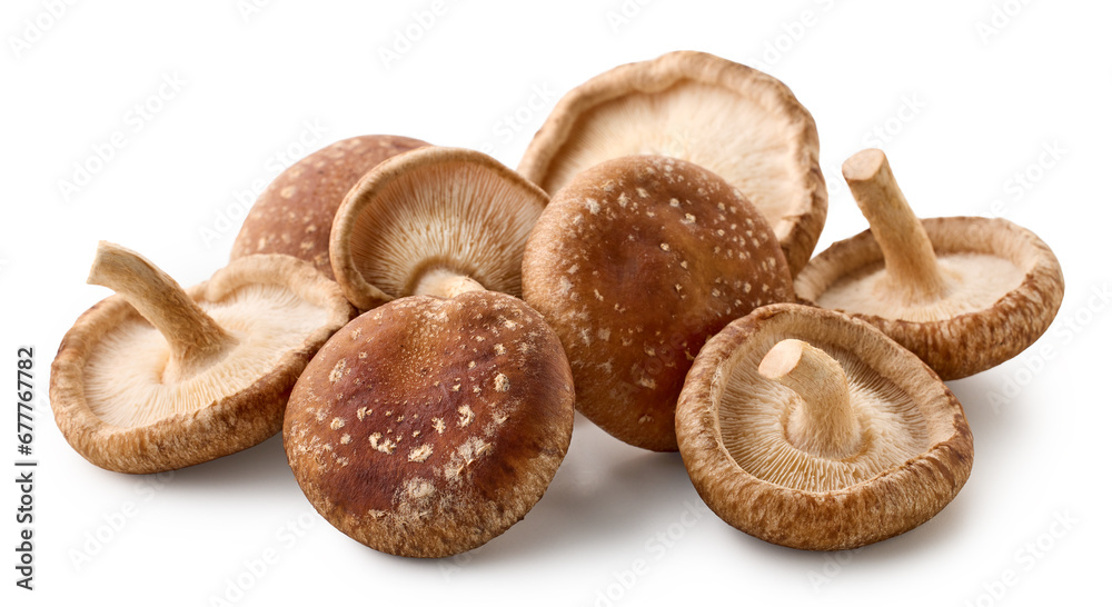 Heap of fresh Shiitake mushrooms on white background Heap of fresh Shiitake mushrooms on white background