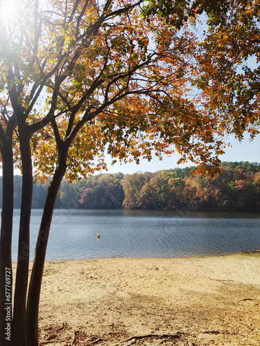 Fall foliage along the water at Lake Johnson, a popular city park in Raleigh, NC