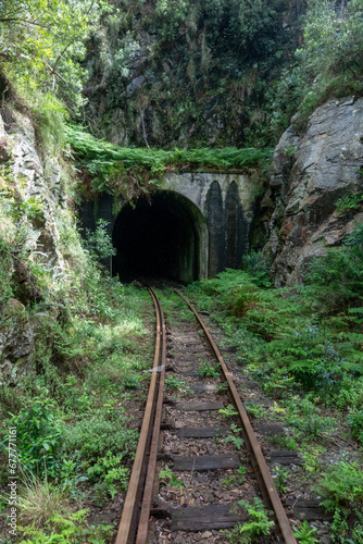 One of the six tunnels on the Outeniqua Railway Pass. 10 tons of dynamite was used in the construction of this pass which connects George with Oudtshoorn.