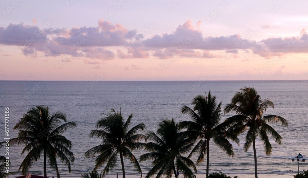 View of the ocean and pink sunset to the horizon through the branches of palm trees. View of the ocean and pink sunset to the horizon through the branches of palm trees.