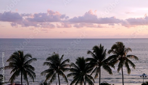 View of the ocean and pink sunset to the horizon through the branches of palm trees.