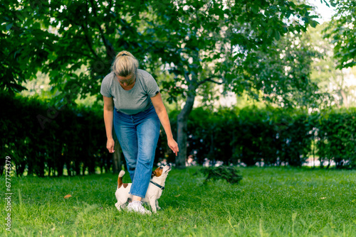 a small active dog of a breed like a russell terrier works with a dog handler in the park executes the command snake through the legs animal training