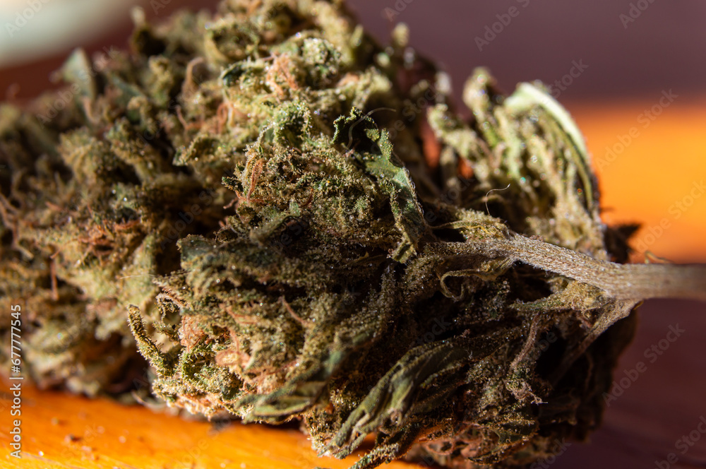 Playing with Light and Darkness: Macro Detail of an Illuminated Cannabis Bud Casting Shadows on a Wooden Texture. Playing with Light and Darkness: Macro Detail of an Illuminated Cannabis Bud Casting Shadows on a Wooden Texture.