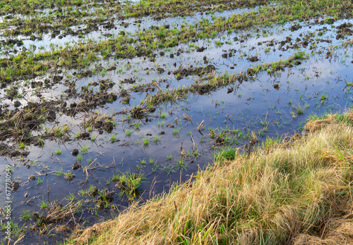 terre innondée,innondation,pluie,humide,récolte,agriculture,terre,plantation,dégastre,catastrophe,réchauffement climatique,climat, récolte,campagne,nature,plein cadre,personne