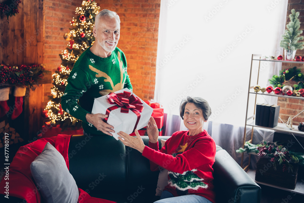 Fototapeta premium Portrait of two cheerful aged people exchange newyear giftbox fairy magic illumination indoors