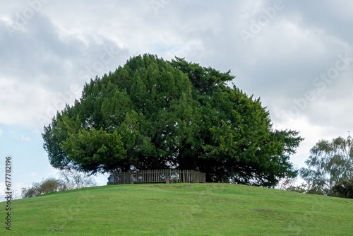 Bolton's Bench Lyndhurst Hampshire England to commemorate the Duke of Bolton  New Forest Master Keeper photo