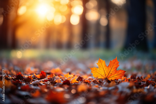 autumn leaves in the park ai generated
