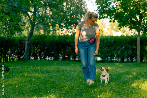 zoo psychologist or trainer works with a small jack russell terrier in the park socializes the dog exercises the team nearby caring for animals