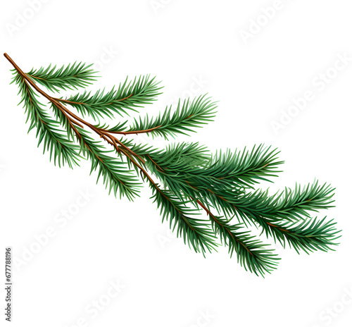a pine branch on a white background