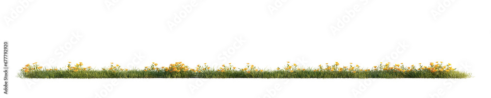 Green grass with yellow flowers - panorama. Transparent background. 3D rendering.
