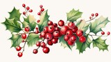  a branch of holly with red berries and green leaves on a white background with red berries and green leaves on a white background.