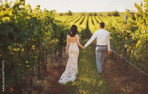 A newly wed couple walking through a vineyard at sunset. Concept of love and family photo