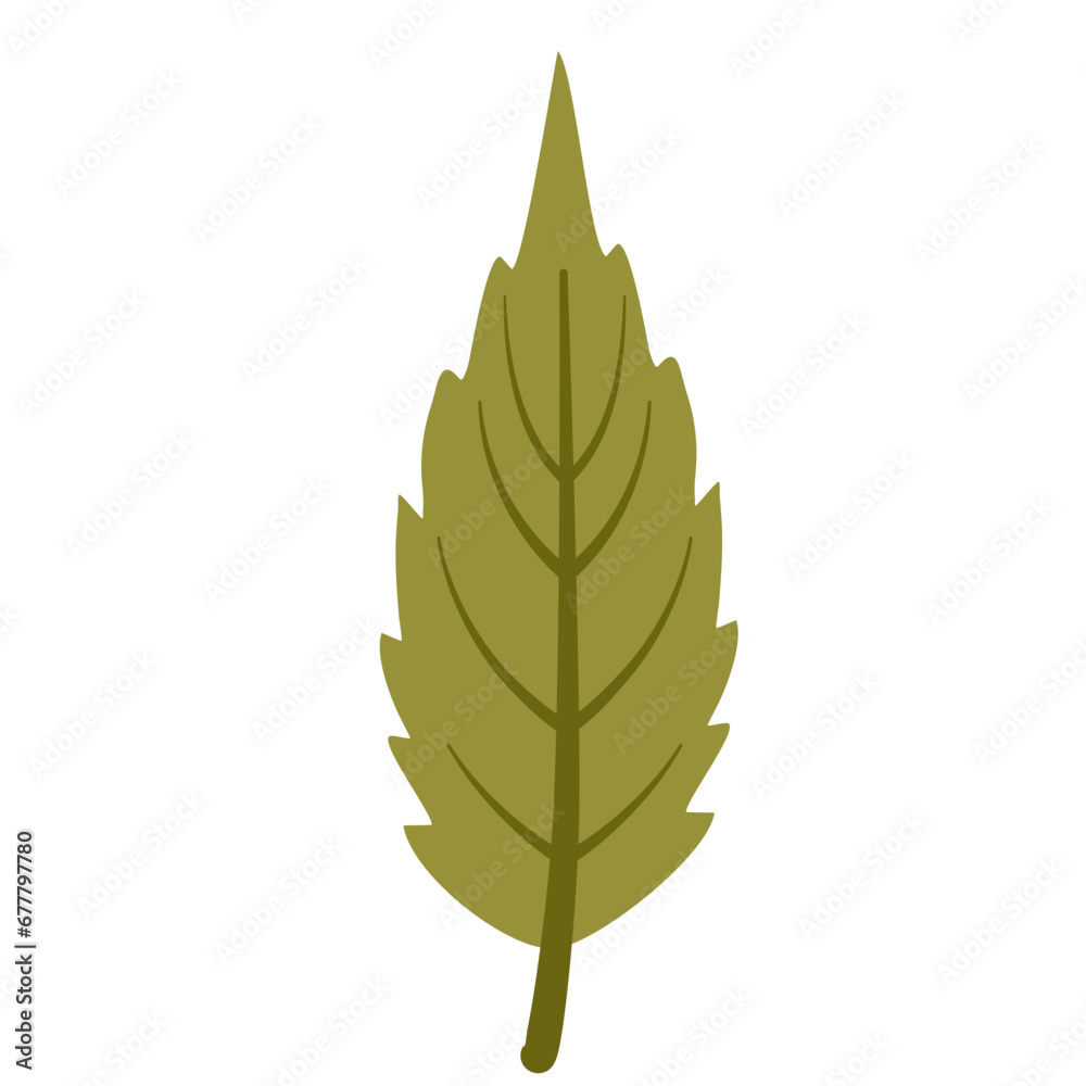 Autumn falling leaves isolated vector illustation Autumn falling leaves isolated vector illustation
