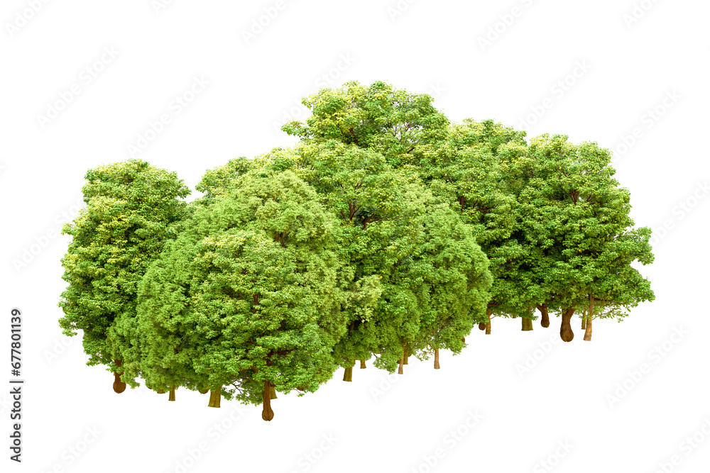 Green forest isolated on transparent background. 3d rendering - illustration Green forest isolated on transparent background. 3d rendering - illustration